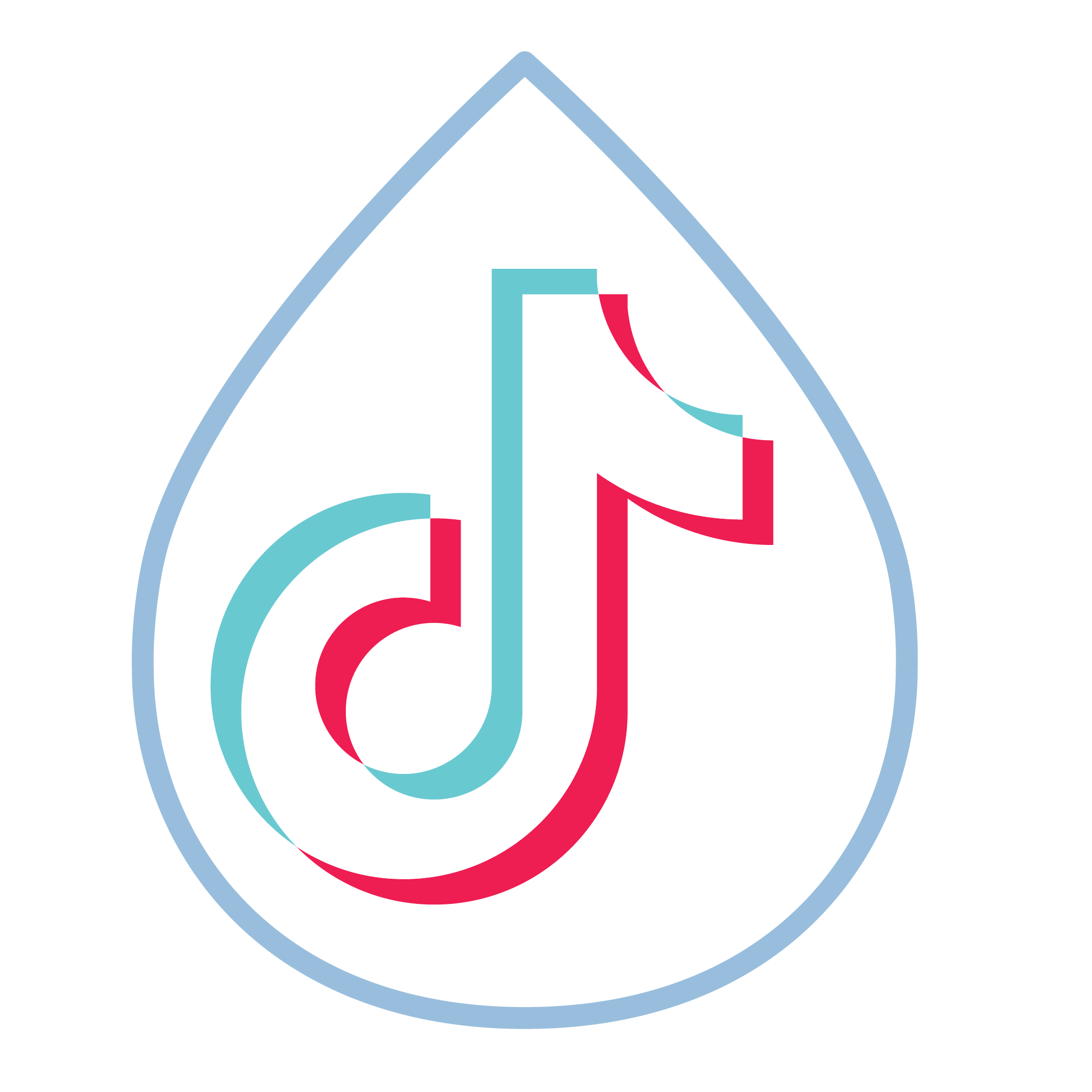 TikTok Shop